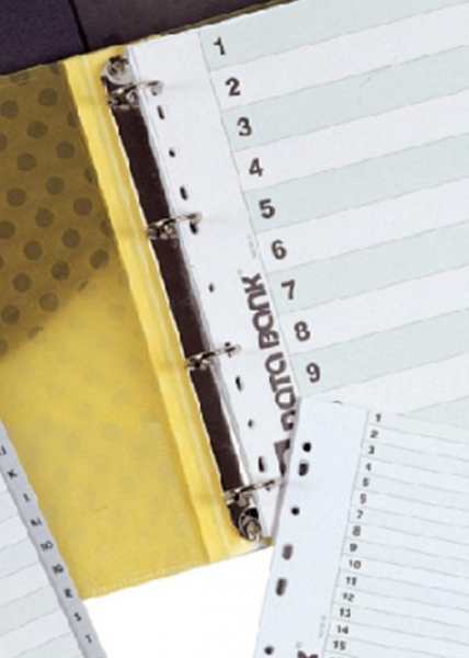 Ring Binder Index